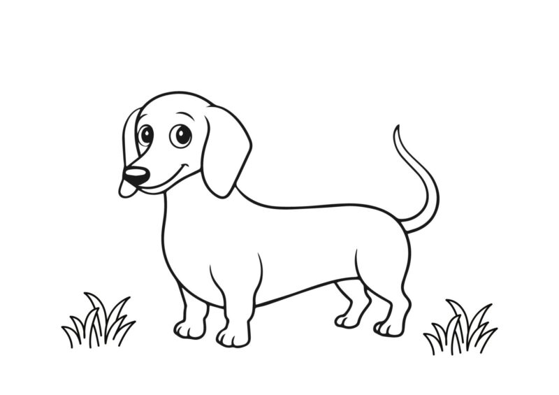 Hund med knogler, skål og legetøj omkring sig