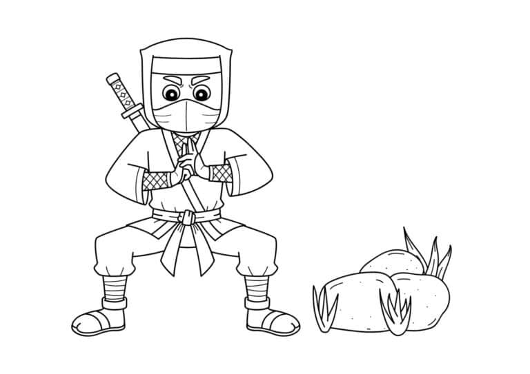 Ninjaer 51 tegning-af-ninja-19