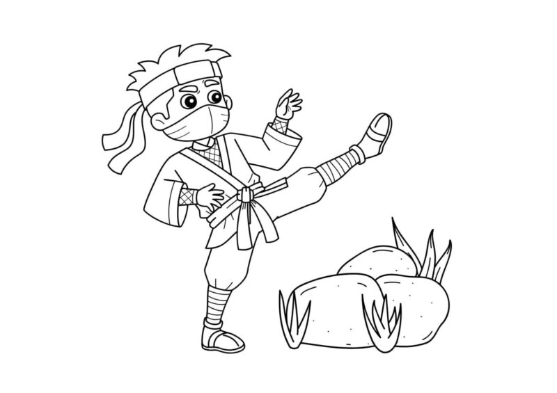 Ninjaer 49 tegning-af-ninja-21