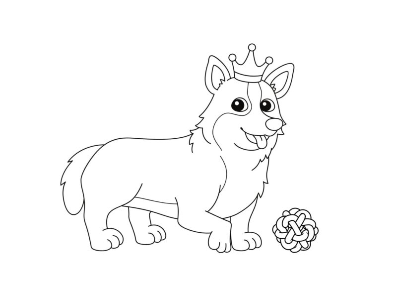 hunde 16 Dalmatiner med pletter og lille bamse ved poterne