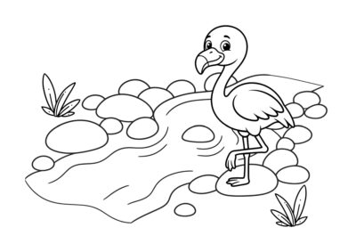 tegning af flamingo 12