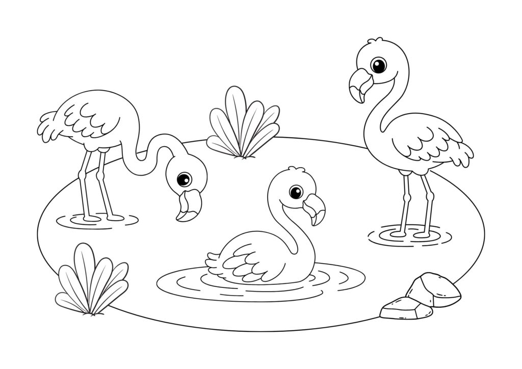 tegning-af-flamingo-14 tegning af flamingo 14