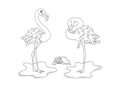 Tegninger af flamingoer 7 tegning af flamingo 3