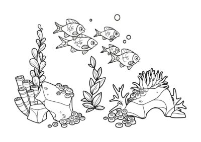tegning af fisk 8