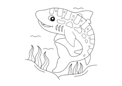 tegning af haj 6