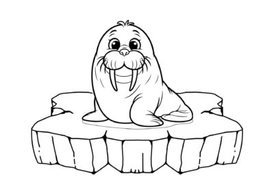 tegning af hvalros 2
