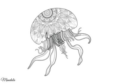 tegning af vandmand 1
