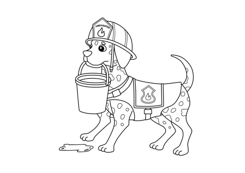 hunde 10 Brandhund i uniform sammen med en brandmand