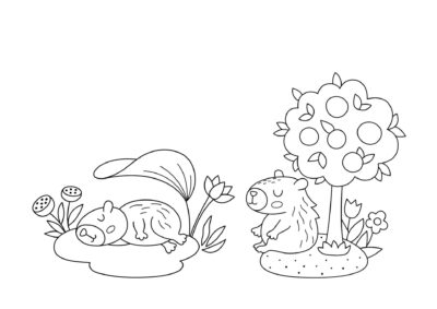 Capybara tegninger 6 tegning af capybara 5