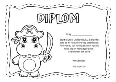 diplom skattejagt 3