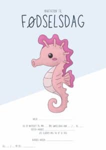 invitation foedselsdag soehest 1
